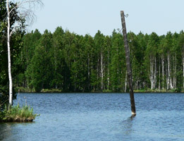 Столб стоит прямо в озере